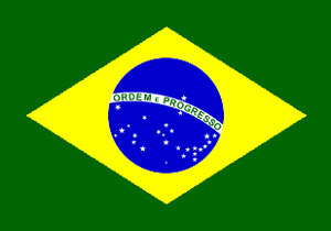 Brazil paper flag, 11`` x 8``