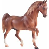 My Favorite Horse Arabian