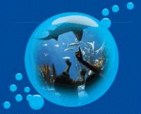 Brighton SEA LIFE Centre after 3pm Special Adult