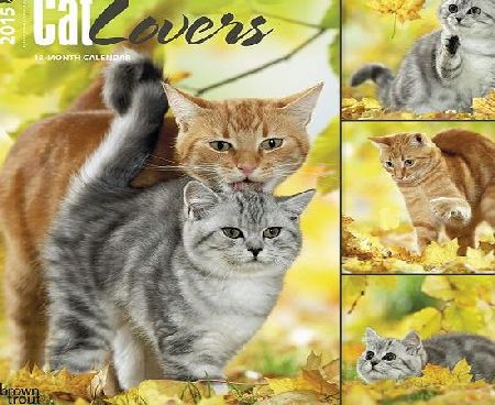 BrownTrout Publishers Cat Lovers 2015 Wall Calendar
