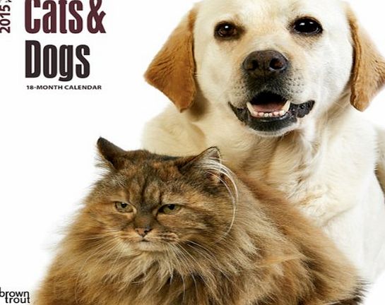 BrownTrout Publishers Cats amp; Dogs 2015 Wall