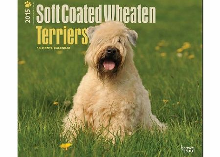BrownTrout Publishers Soft Coated Wheaten Terriers 2015 Wall Calendar