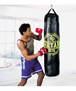 4ft Vinyl Punchbag and Mitts