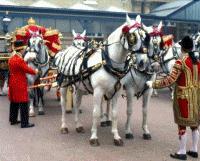 Buckingham Palace - Royal Mews Admission Adult