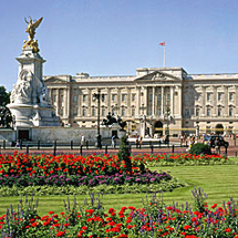 Buckingham Palace with Afternoon Tea - Adult