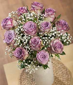 12 Purple Roses SDLPR