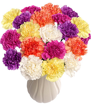 Bunches.co.uk 20 Funky Carnations FUNK20