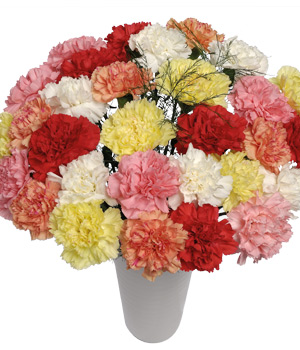 Bunches.co.uk 30 Classic Carnations