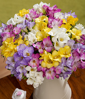 Bunches.co.uk 30 Fragrant Freesias FF30