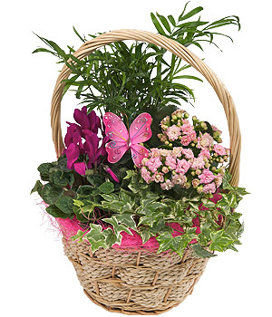 Bunches.co.uk Butterfly Flower Basket PMBASK