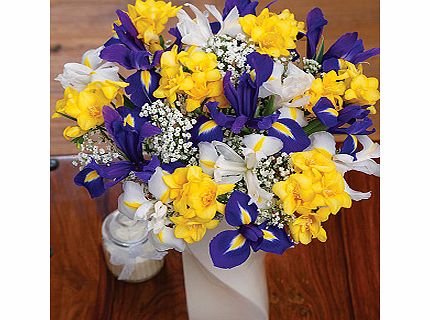 Bunches.co.uk Iris and Freesias Large FIRFRL