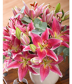 Bunches.co.uk Lily Scentsation FLILY