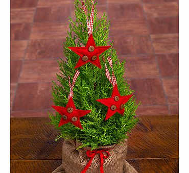 Mini Christmas Tree XTREE