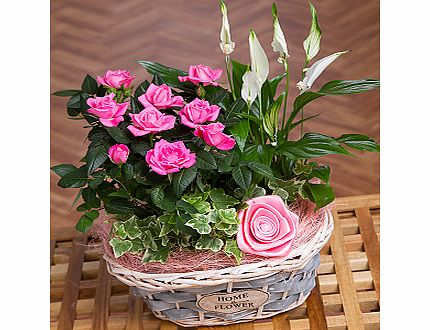 Bunches.co.uk Mothers Day Flower Basket PMFB