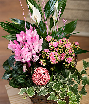Mothers Day Flower Basket PSFB
