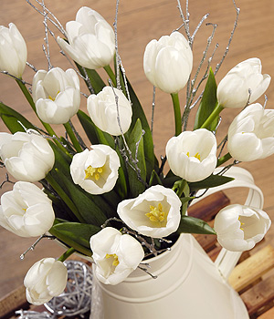 Bunches.co.uk White Tulips XTUL