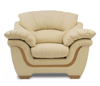 Buoyant Upholstery Eagle Neona Leather Armchair