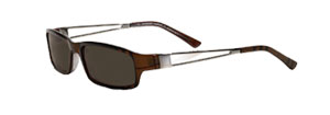 Burberry 8397s Sunglasses