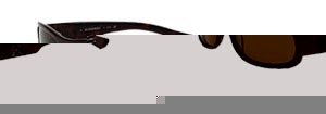Burberry 8411s Sunglasses