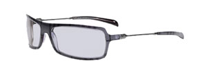 Burberry 8431s Sunglasses