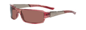 Burberry 8435s Sunglasses