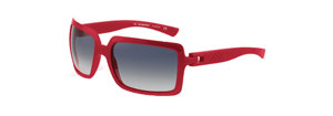Burberry 8452s Sunglasses