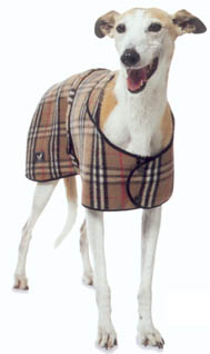 Classic Check - 20cm (8")