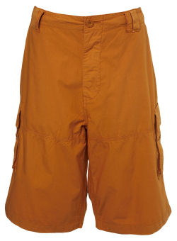 Orange Casual Shorts