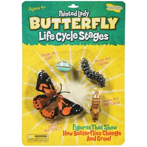 Life Cycle Stages