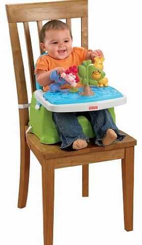Fisher-Price Discover n Grow Busy Baby Booster Baby, NewBorn, Children, Kid, Infant