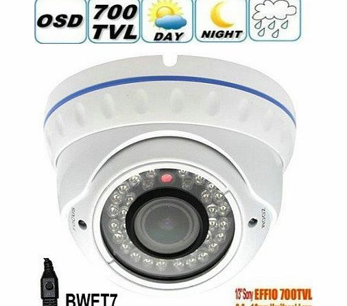 BW 1/3`` Sony CCD EFFIO-E 700TVLine IR Vandal-proof CCTV Dome Camera With 2.0 Megapixel 2.8-12mm Lens,30M Night Vision