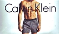 Calvin Klein Traditional Fit Boxer Size 36