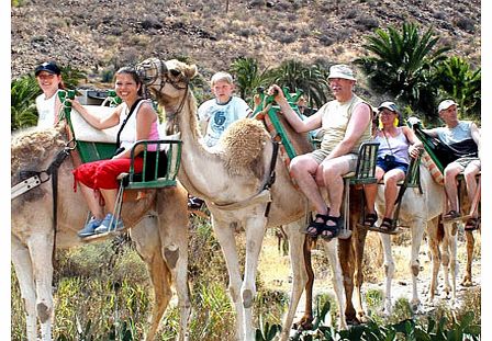 Camel Park Arteara