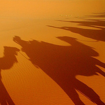 Camel Ride to the Souss Estuary - Child