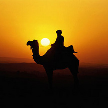 Camel Safari with Bedouin Dinner - Child