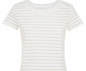 Cameo Rose White Mesh Stripe T-Shirt 3236535