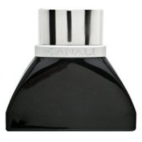 Black Diamond - 100ml Eau de Parfum Spray