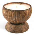 Candles Naturally Coconut Shell Candle