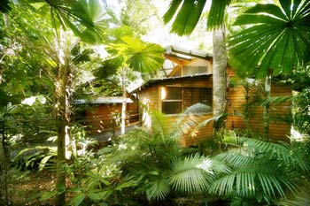 CAPE TRIBULATION Ferntree Rainforest Lodge