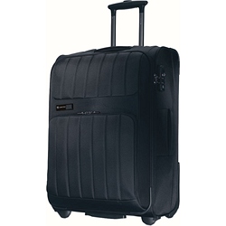 Carlton 65cm trolley case