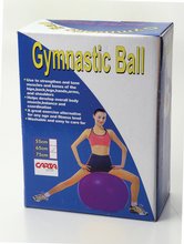 Gym Ball 26 (65CM)