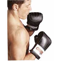 Boxing Mitts Small