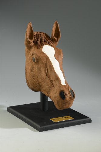 Casdon PegSculpture 569 Toy Horse Reconstruction Kit