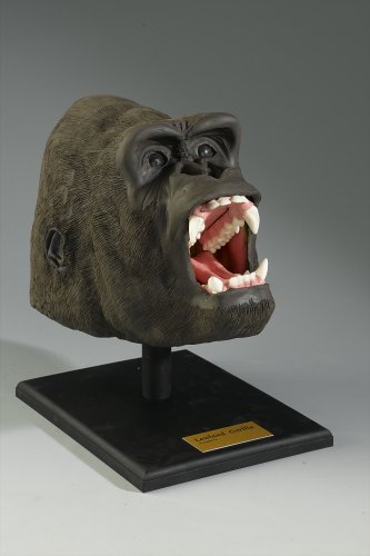 Casdon PegSculpture 570 Gorilla Reconstruction Kit