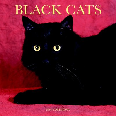 Cats Black Cats 2006 Calendar
