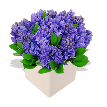 In Blue - flowers