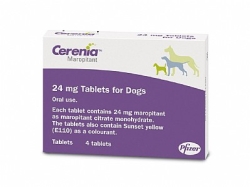 cerenia Tablets:4x24mg