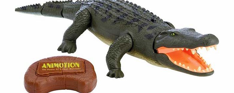 Radio Controlled Crocodile