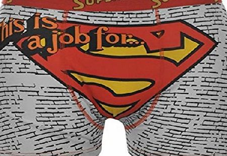 Character Mens Gents Boxer Shorts Briefs Batman Comic Elasticated Waist Band Superman L
