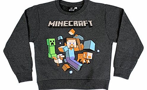 Character Boys Minecraft Sweatshirt Age 11 to 12 Years